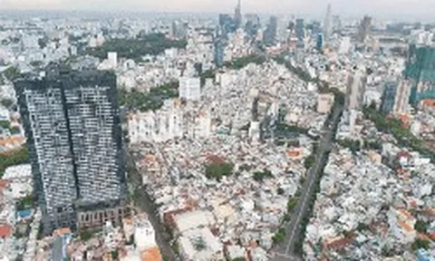Hiện tượng gây chú ý tại Phát Đạt, Khang Điền, Novaland...