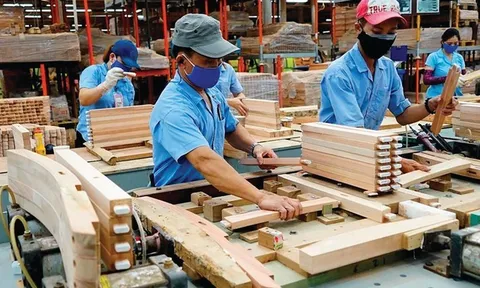 Ngành gỗ quý II/2026 ghi nhận những gam màu trái chiều