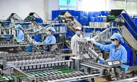 Nhập siêu hơn 20 tỷ USD: Áp lực đến từ đâu?