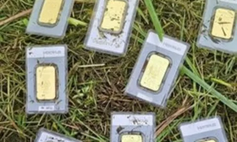 Phát hiện 10 thỏi vàng nặng 280g dưới lớp cỏ một hồ chứa nước, chưa xác định được chủ nhân