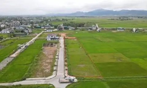 Đất vùng quê có lô giá khởi điểm gần 5 tỷ: 13 lô còn lại không có người đấu
