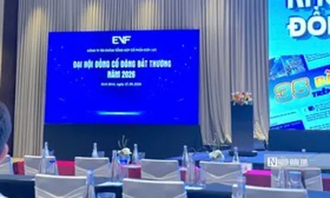 EVF dự kiến tăng vốn lên 8.456 tỷ đồng, đề cử cựu Chủ tịch Eximbank vào HĐQT