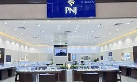 Cổ phiếu PNJ tăng trần ngay sau kết quả điều tra của công an liên quan vụ buôn lậu kim cương