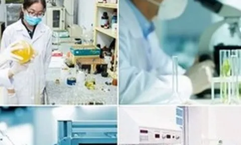 Giải thể Hội đồng Quốc gia về Khoa học, Công nghệ và Đổi mới sáng tạo