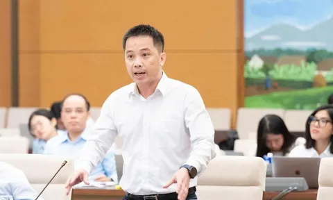 Hàng phở khó chứng minh con gà mua ở đâu mà có hóa đơn, chứng từ