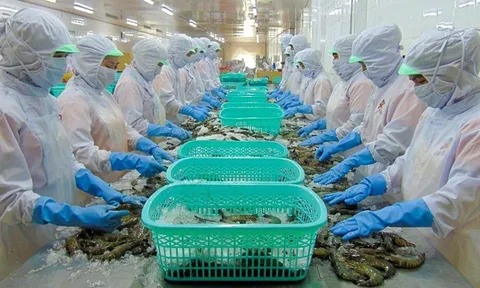 Sao Ta hoàn nhập hơn 27 tỷ đồng thuế chống bán phá giá