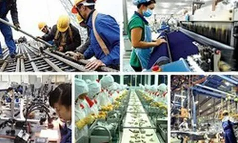 Triển khai thực hiện Kết luận số 62-KL/TW về nâng cao năng suất lao động quốc gia gắn với phát triển thị trường lao động