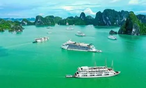 Quảng Ninh quyết tâm xóa 'điểm mù' sóng điện thoại trên vịnh Hạ Long