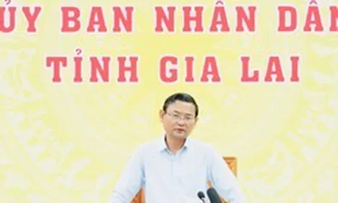 Gia Lai: Đẩy nhanh giải phóng mặt bằng cao tốc Quy Nhơn-Pleiku