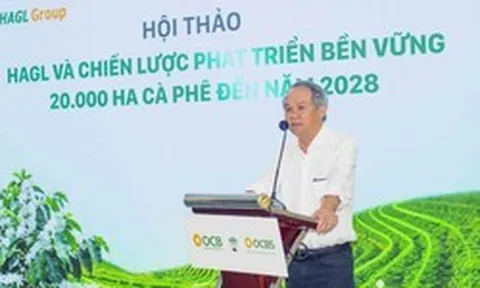 Bầu Đức trồng 20.000 ha cà phê trên cao nguyên cao 1.350 m, quanh năm mát mẻ, chuyên gia dự báo thu hoạch “khủng” 7,2 kg quả/cây