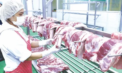EU siết tên gọi sản phẩm thịt từ năm 2029, doanh nghiệp Việt cần làm gì?