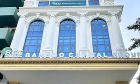 Bamboo Capital tính đường tái cấu trúc 5 năm sau khi mất tư cách công ty đại chúng
