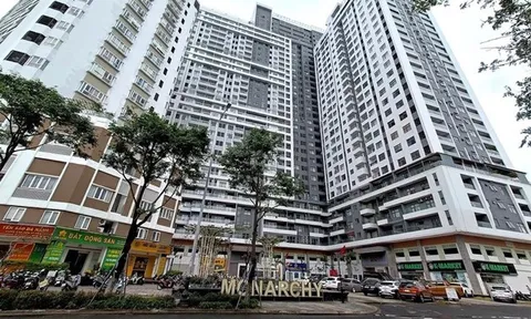 Nhà Đà Nẵng dự chi hơn 50 tỷ đồng trả cổ tức