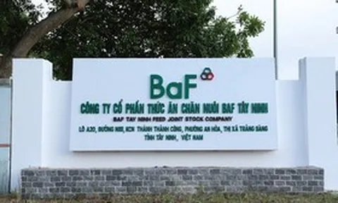 BAF sắp tung “gói” ESOP 80 tỷ đồng, giá ưu đãi cho 242 nhân viên