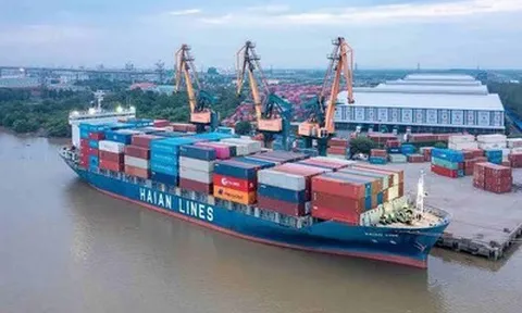 Gelex thoái toàn bộ 5,16% vốn tại Vận tải và Xếp dỡ Hải An
