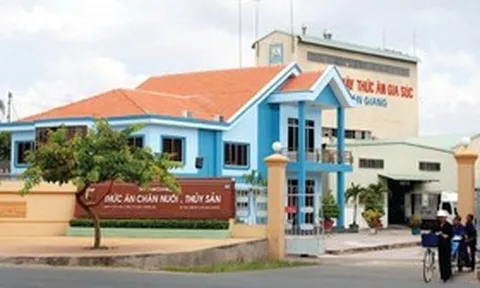Afiex lên kế hoạch tăng vốn, “giải bài toán” nguồn lực tài chính