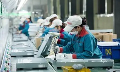 5 doanh nghiệp biến năng lực sản xuất thành niềm “Kiêu hãnh Việt Nam”