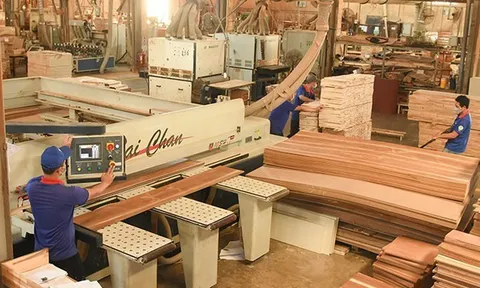 Gỗ Thuận An hoàn thành gần 98% mục tiêu lợi nhuận sau 9 tháng