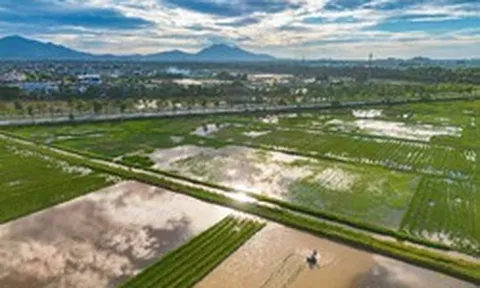 Một xã tại Hà Nội sắp xây trường đại học 10.000 sinh viên, nằm trên trục đường rộng hơn 3 lần đường băng sân bay, có tuyến metro nối thẳng vào nội đô