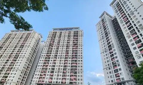 6 năm ‘om’ quỹ bảo trì: Hàng trăm cư dân chung cư Hateco Apollo đòi quyền lợi