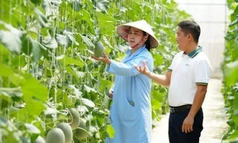 BIDV tung gói tín dụng 200.000 tỷ đồng tiếp sức sản xuất kinh doanh