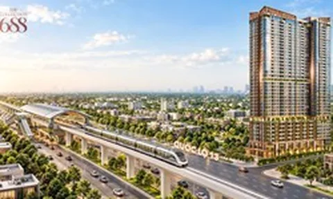 Nghệ thuật của sự “vừa đủ” trong một sản phẩm thiết thực tại Đông Bắc TP.HCM