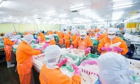 Nam Việt chốt trả cổ tức tiền mặt, gia đình ông Doãn Tới dự kiến nhận gần 180 tỷ đồng