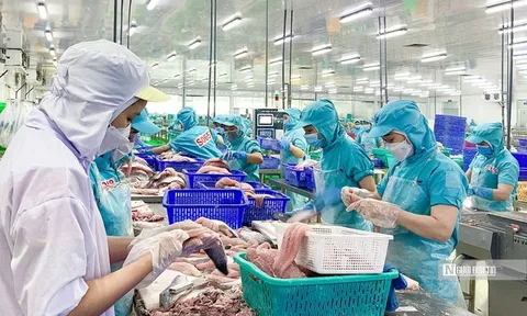 Xuất khẩu thủy sản sang Anh sắp có thêm yêu cầu về hồ sơ IUU