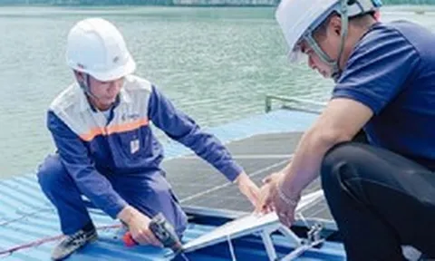 Elon Musk chia sẻ tin Hải Phòng đưa Internet vệ tinh ra đảo xa