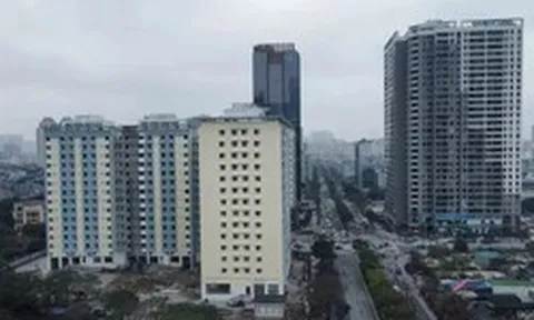 Hà Nội đấu giá 7 lô đất ‘vàng' ở Cầu Giấy, giá khởi điểm hơn 176 triệu đồng/m2