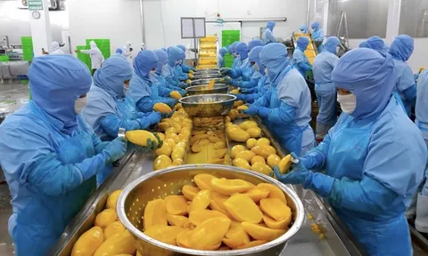 Antesco dự kiến thu 200 tỷ đồng từ cổ đông để “xoay nguồn” trả nợ