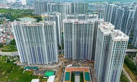 VARS dự báo giá bất động sản tiếp tục tăng vì một lý do