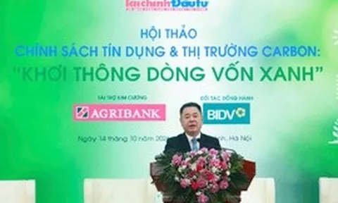 Tín dụng xanh bắt tay thị trường carbon, khơi thông dòng vốn cho doanh nghiệp