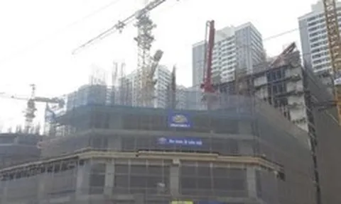 Hạn nộp thuế đất phi nông nghiệp muộn nhất ngày 2/11