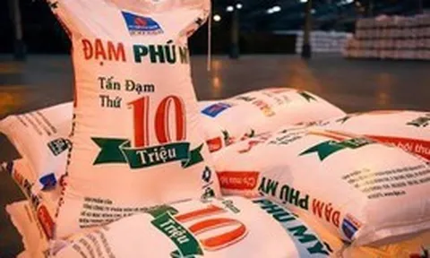 Nóng: Thanh tra Chính phủ công bố quyết định thanh tra Đạm Phú Mỹ