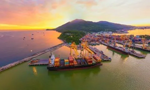 Cảng Đà Nẵng báo lãi lớn quý III/2026, tiền gửi ngắn hạn gần 900 tỷ đồng