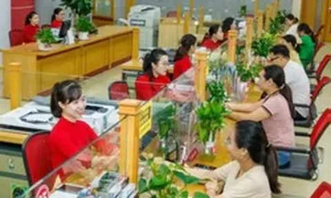 Nền kinh tế Việt Nam đang phụ thuộc nguồn vốn nào?