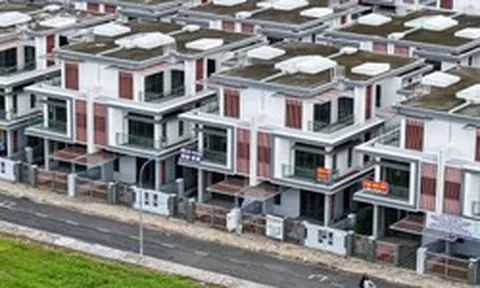 Trình Quốc hội đề xuất đánh thuế đất bỏ hoang cao gấp 7 lần