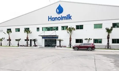 Doanh thu tăng hai chữ số, lợi nhuận 9 tháng của Hanoimilk gần như giậm chân tại chỗ