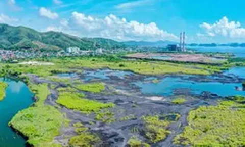 Dự án điện khí hơn 2 tỷ USD ở Quảng Ninh 'nằm chờ' khởi công