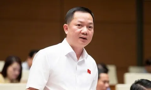 Từ vụ Mường Thanh, ĐBQH đề nghị có cơ chế bảo vệ người mua nhà tại dự án sai phạm