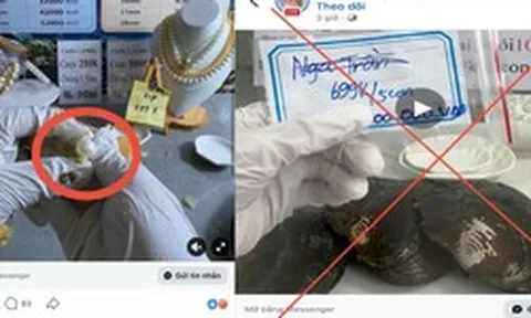 "Khui ngọc trai" trúng tiền tỷ: Công an vạch trần 3 bước lừa đảo