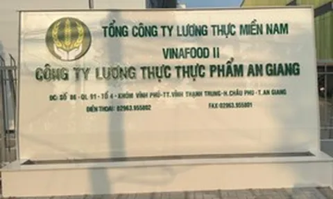 Vinafood II: Hàng tồn kho tăng gần gấp đôi, khoản thu ngắn hạn vượt 1.000 tỷ đồng