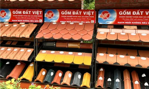 AHLĐ Nguyễn Quang Mâu là một trong những người đầu tiên của Việt Nam vinh dự nhận danh hiệu Giáo sư danh dự của Viện Đại học Kỷ lục Thế giới