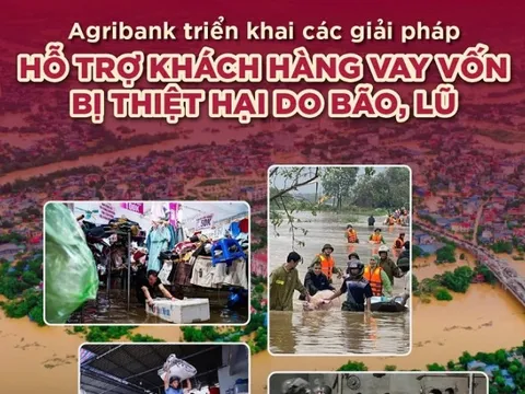Agribank giảm tới 2%/năm lãi suất cho vay hỗ trợ khách hàng bị ảnh hưởng, thiệt hại do bão, lũ
