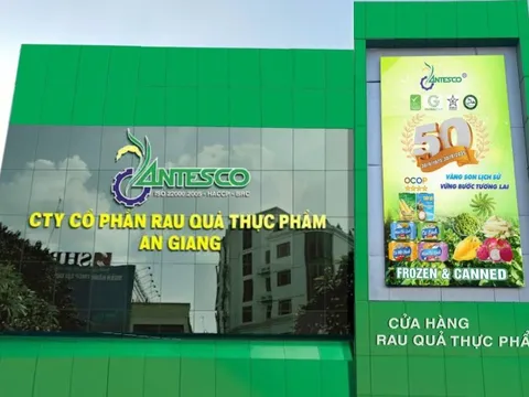 Antesco vượt kế hoạch lợi nhuận năm sau khi lên kế hoạch “chuyển nhà”