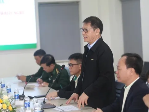 THACO AGRI dự kiến đạt doanh thu hơn 2.000 tỷ đồng từ dự án chăn nuôi bò 155 hecta ở Gia Lai, muốn mở rộng quy mô lên hơn 2.000 hecta