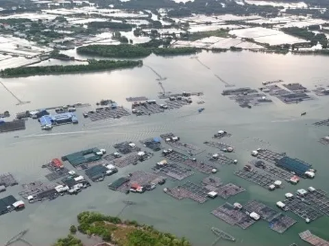Toàn cảnh hòn đảo rộng gần 1.400 ha được đề xuất làm khu đô thị ở TP.HCM
