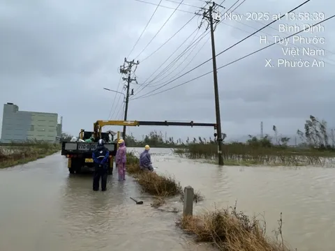 Tổng công ty Điện lực miền Trung thông báo: Hơn 553.000 khách hàng mất điện, Đắk Lắk thiệt hại nặng nhất