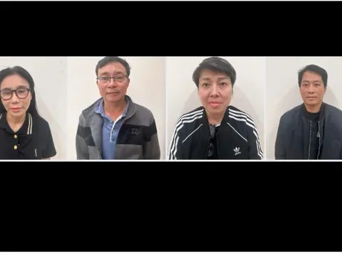 Khởi tố 8 bị can trong vụ án buôn lậu liên quan đến hệ sinh thái Mailisa